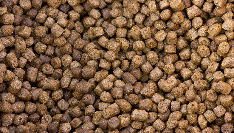 Animal Feed Mill Rolls